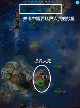 傲气雄鹰[图2]