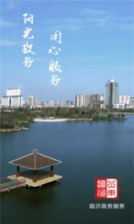 临沂政务服务截图1