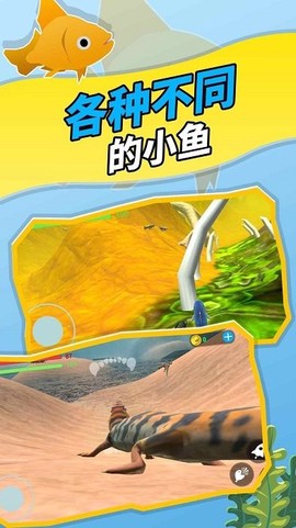神秘海域[图1]