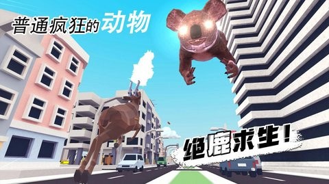 普通疯狂的动物[图1]