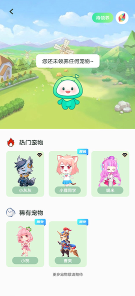 飞花动态壁纸[图6]