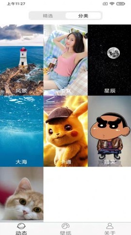 飞花动态壁纸图3