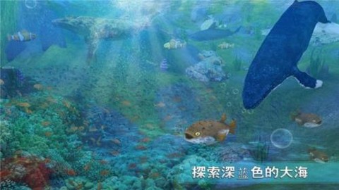 全民养鲨鱼截图2