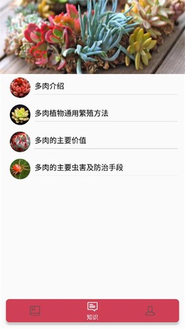 小墨多肉日记截图1