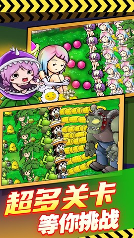 萌娘植物反击战截图2