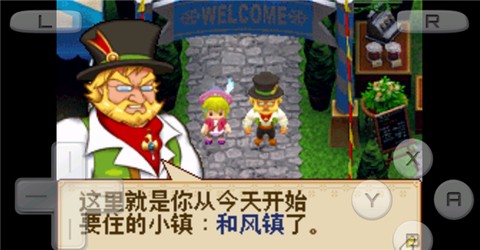 牧场物语风之集市安装器[图1]