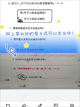 蜜蜂试卷[图5]