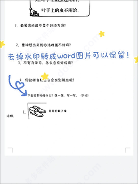 蜜蜂试卷[图6]