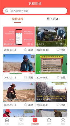 枸杞掌中宝截图2