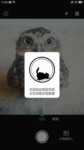 动物百科图3