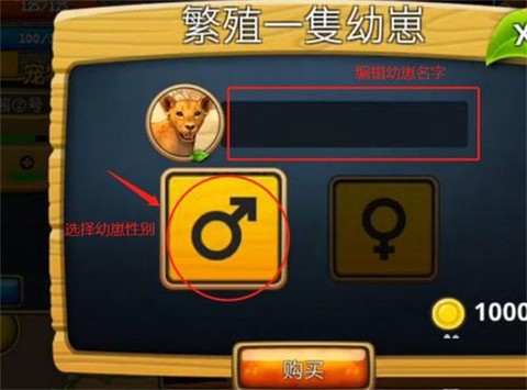终极狮子模拟器2[图4]