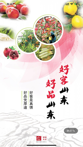 农村大众图2