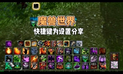 魔兽世界怎么设置动作条[图2]