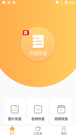 文档恢复大师[图1]