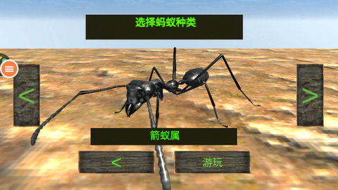 蚂蚁窝模拟器图2