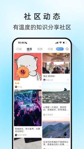 马兰花开[图1]