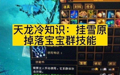 天龙八部雪原爆什么