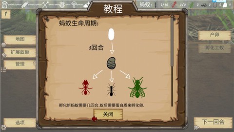 最后的蚂蚁[图1]