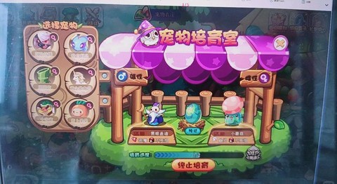 洛克王国怎么交换宠物[图1]