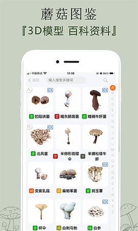菌窝子图1