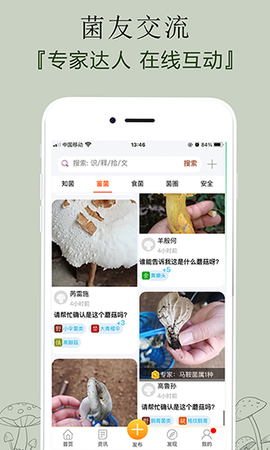 菌窝子图2