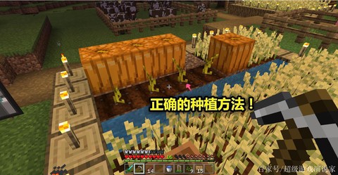 我的世界南瓜怎么种