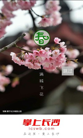 掌上长沙图1