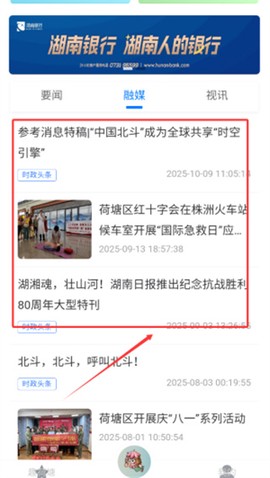 我的荷塘[图4]