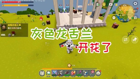 迷你世界怎么种龙舌兰