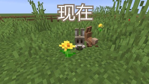 我的世界兔子怎么驯服