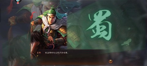 三国志13姜维什么