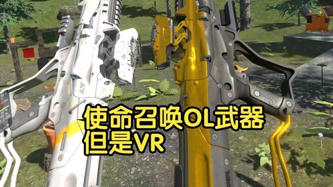 使命召唤命运是什么枪