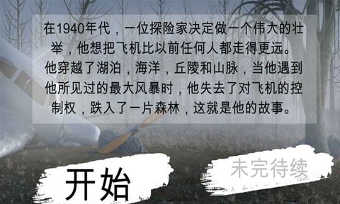 迷失在森林截图3
