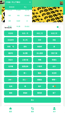 卢音盒截图1