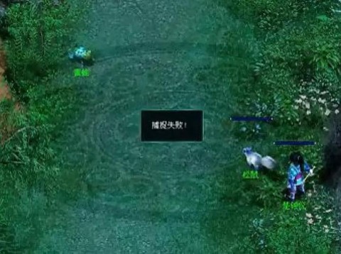 问道手游怎么抓天技宝宝[图1]