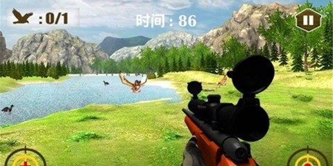 3D猫头鹰狩猎模拟截图1