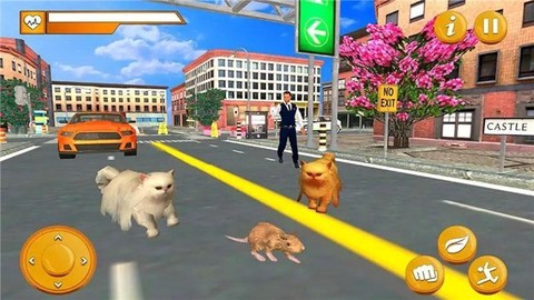 猫鼠之战截图2