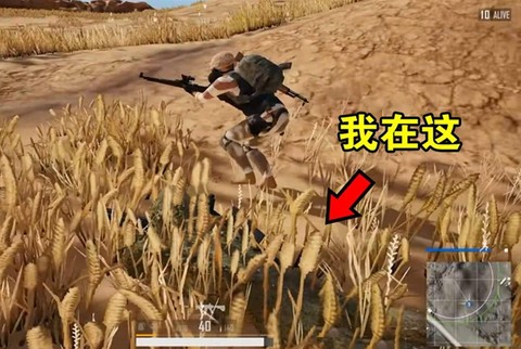 绝地求生怎么伏地魔[图2]