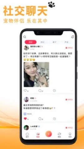 宠友社交截图1