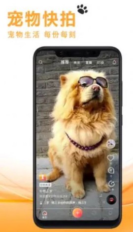 宠友社交截图2