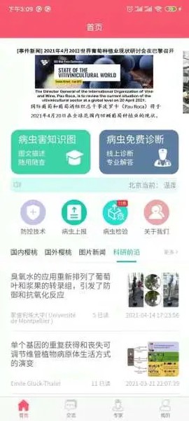 樱桃医生[图2]
