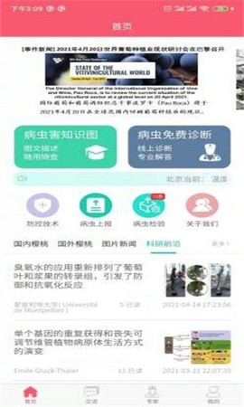 樱桃医生截图1