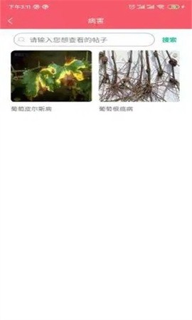 樱桃医生截图3