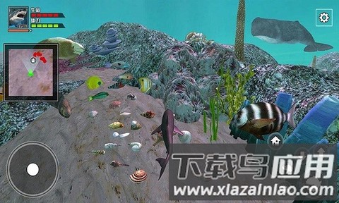 饥饿大白鲨截图1