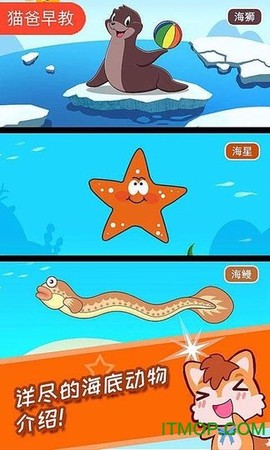 宝宝儿童海洋王国截图2