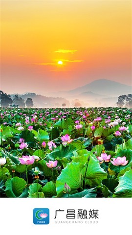广昌融媒截图1