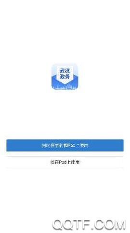 武汉政务[图2]