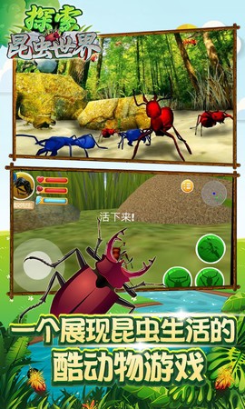 探索昆虫世界截图1
