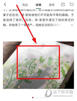 西西弗[图8]