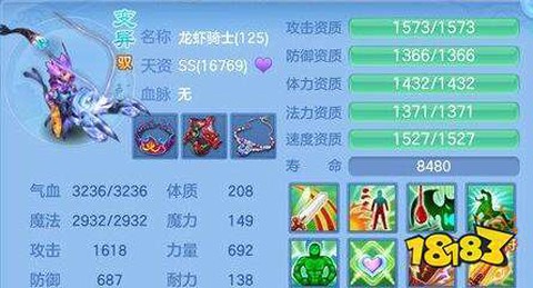 神武耐攻宝宝怎么加点[图1]